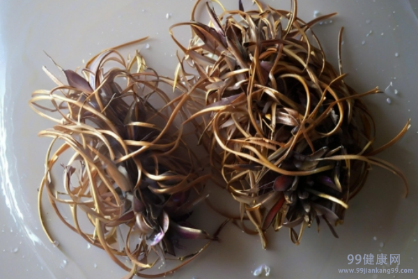 豆根的功效与作用 豆根的副作用