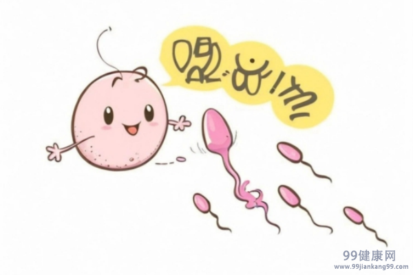 女性排卵期是什么时候 女性排卵