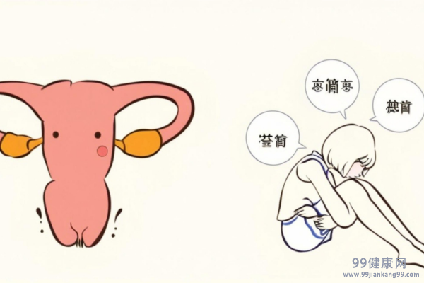 卵巢功能衰退怎么调理 卵巢功能