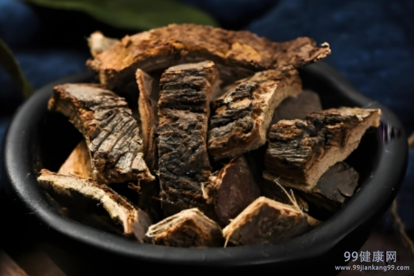榆树皮的功效与作用 榆树皮能治