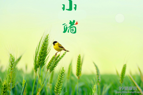 小满夏季养生攻略 小满时节的养