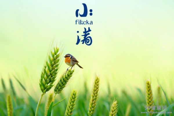 小满预防湿气重的方法 小满吃什