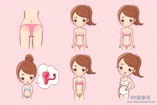 女人的排卵期是什么时候