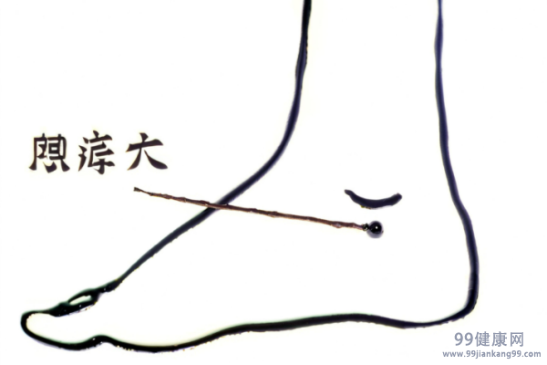 照海的功效与作用是什么