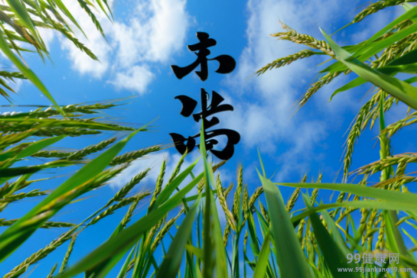 小满养生应该注意些什么
