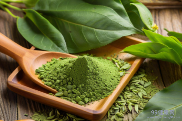 桑叶粉的功效与作用 桑叶粉的食