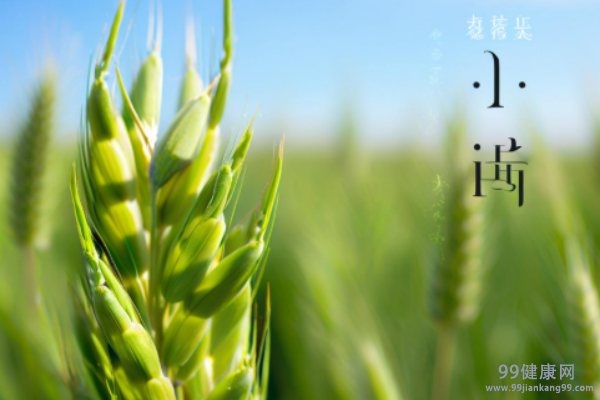 儿童小满时节养生秘籍 儿童小满