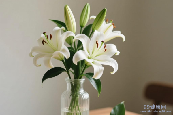 女性肾气不足吃什么食物补肾