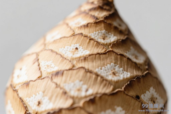 贝母的功效与作用 贝母蒸梨的功效与作用