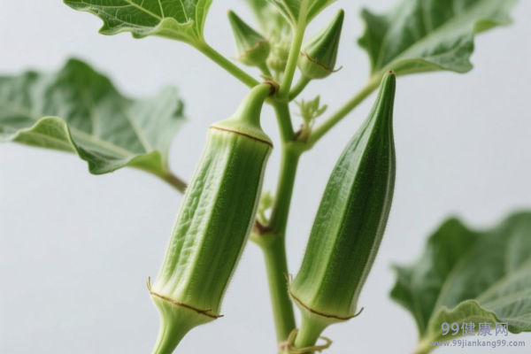 吃什么保肝护肝 保肝护肝吃什么好